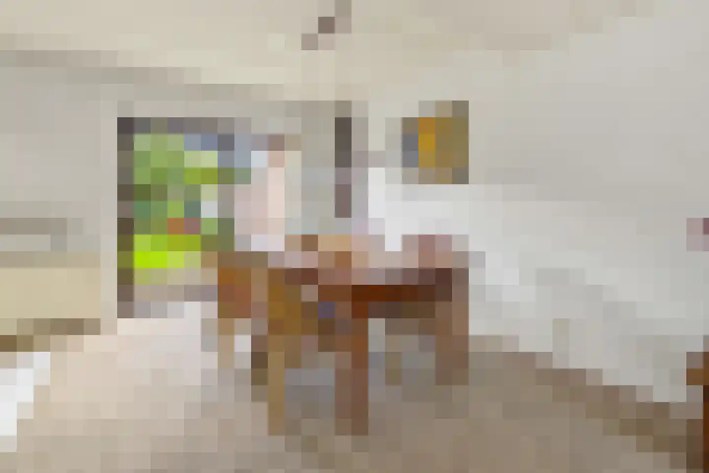 Schoener 4 Alphen aan den Rijn thumbnail 10