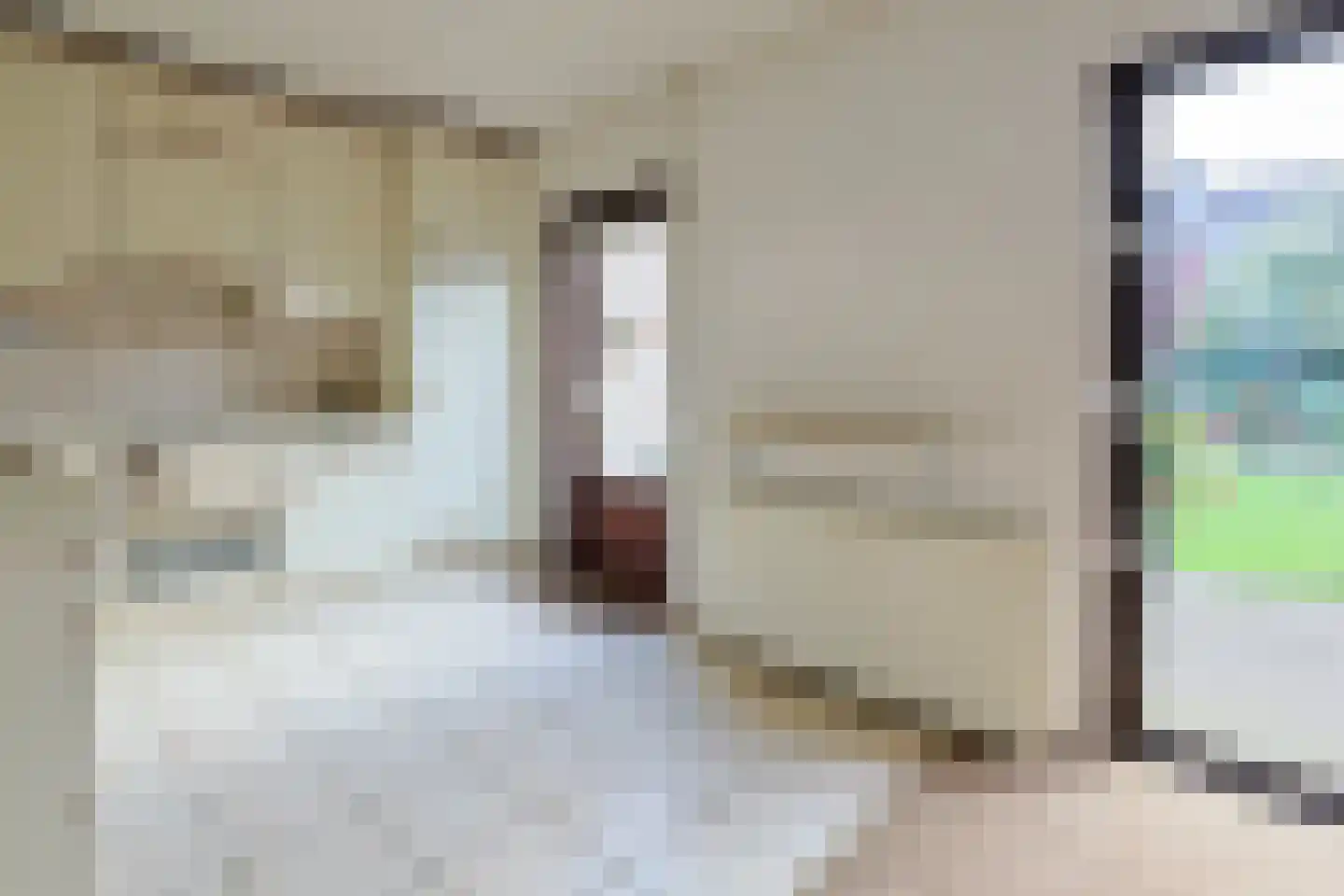 Schoener 4 Alphen aan den Rijn thumbnail 13
