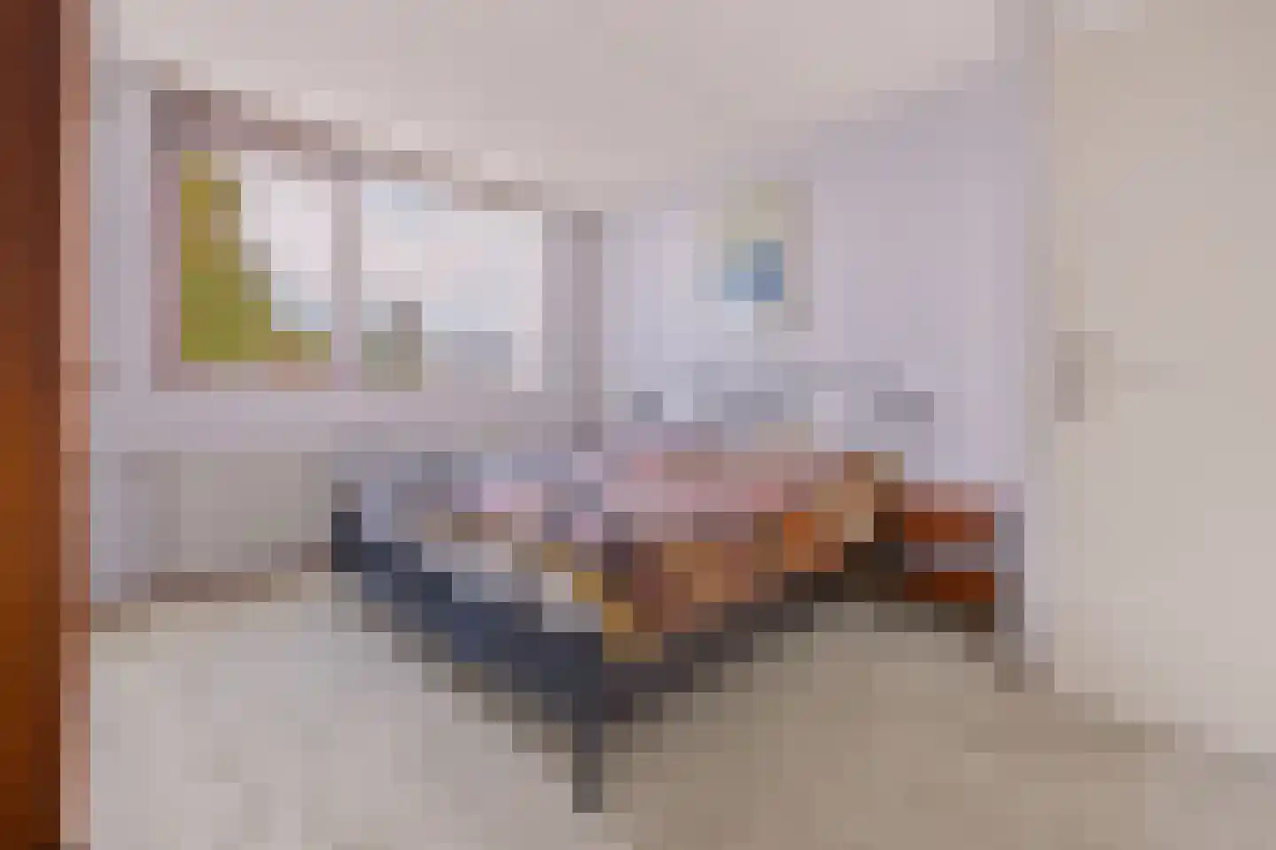 Schoener 4 Alphen aan den Rijn thumbnail 17