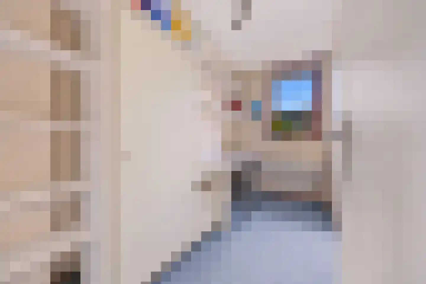 Schoener 4 Alphen aan den Rijn thumbnail 22