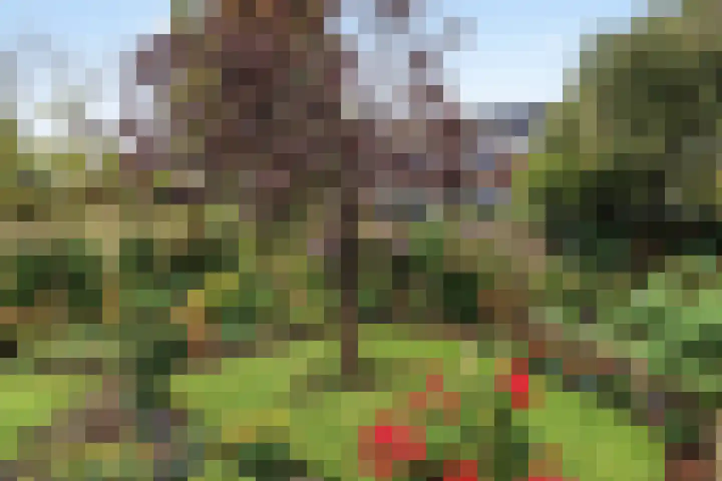 Schoener 4 Alphen aan den Rijn thumbnail 34