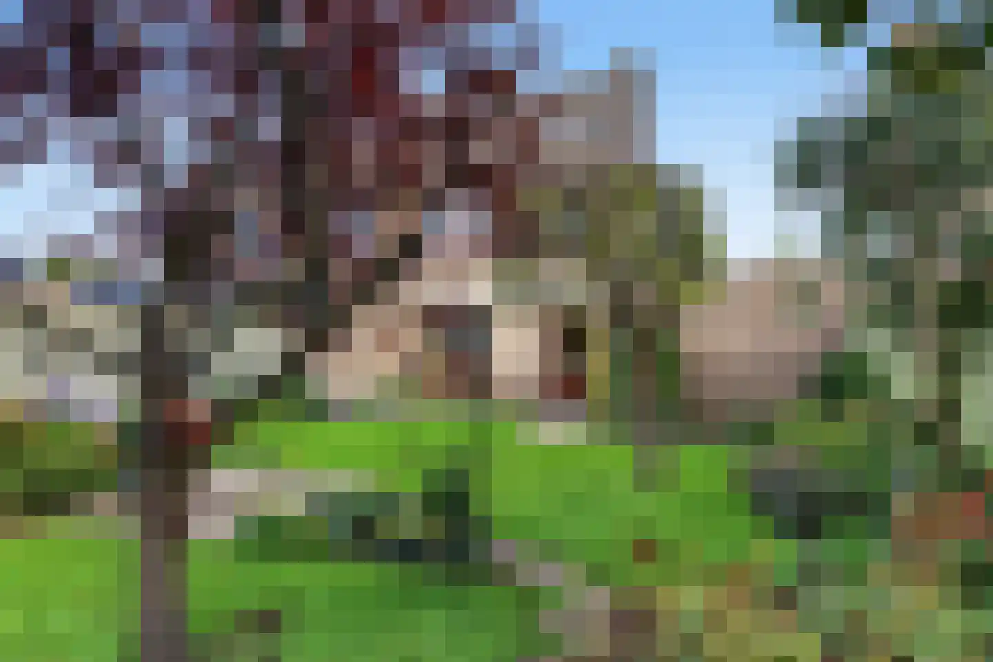 Schoener 4 Alphen aan den Rijn thumbnail 36
