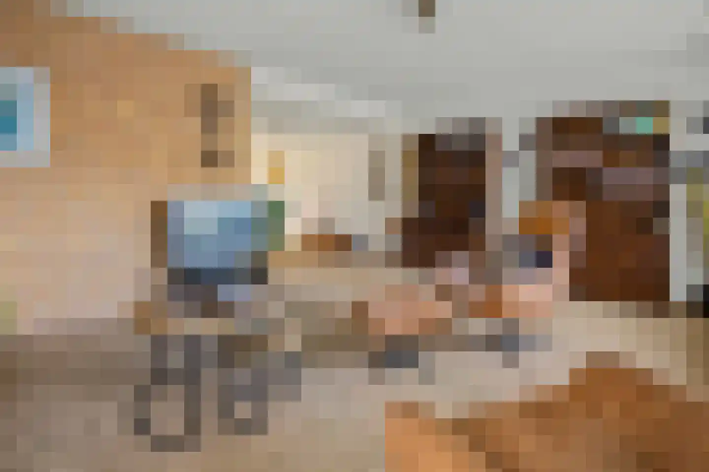 Schoener 4 Alphen aan den Rijn thumbnail 8