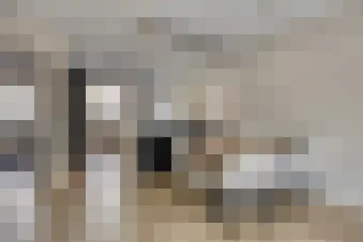 Schoener 4 Spijkenisse thumbnail 11
