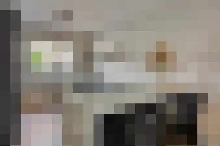 Schoener 4 Spijkenisse thumbnail 12