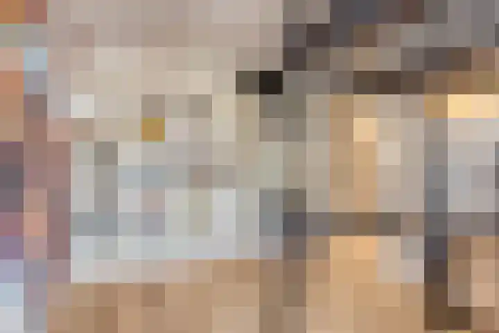 Schoener 4 Spijkenisse thumbnail 19