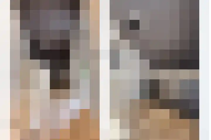 Schoener 4 Spijkenisse thumbnail 30