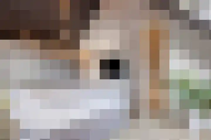 Schoener 4 Spijkenisse thumbnail 31