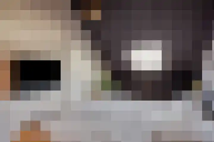 Schoener 4 Spijkenisse thumbnail 34