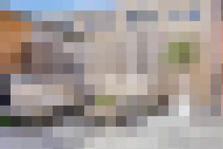 Schoener 4 Spijkenisse thumbnail 37