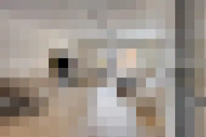 Schoener 4 Spijkenisse thumbnail 4