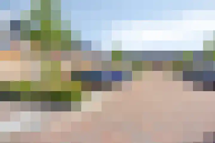 Schoener 4 Spijkenisse thumbnail 41