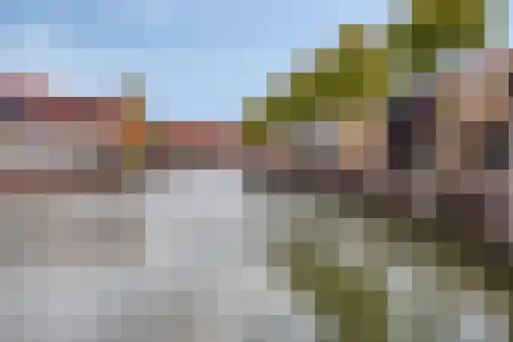 Schoener 4 Spijkenisse thumbnail 46
