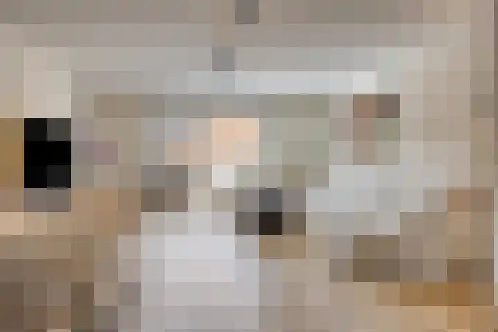 Schoener 4 Spijkenisse thumbnail 5