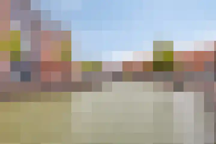Schoener 4 Spijkenisse thumbnail 52