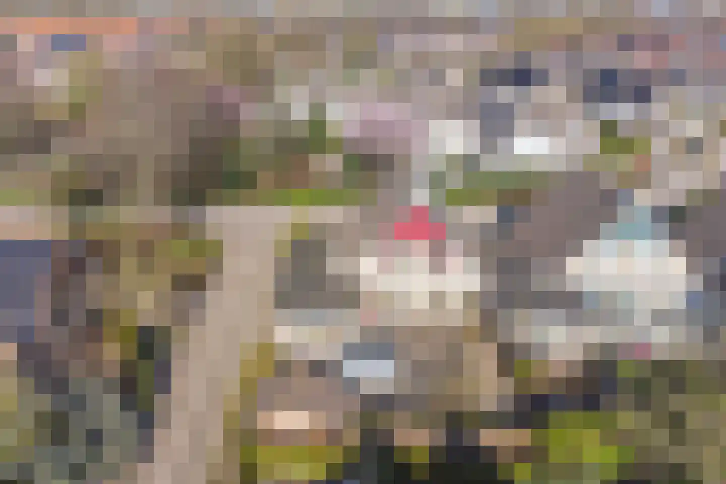 Schoener 40 20 Lelystad thumbnail 25