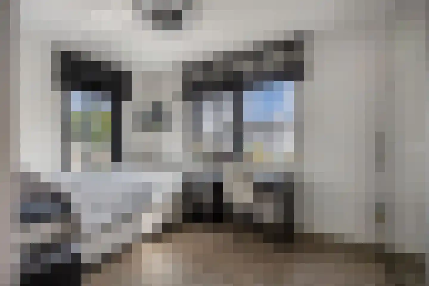 Schoener 41 24 Lelystad thumbnail 27