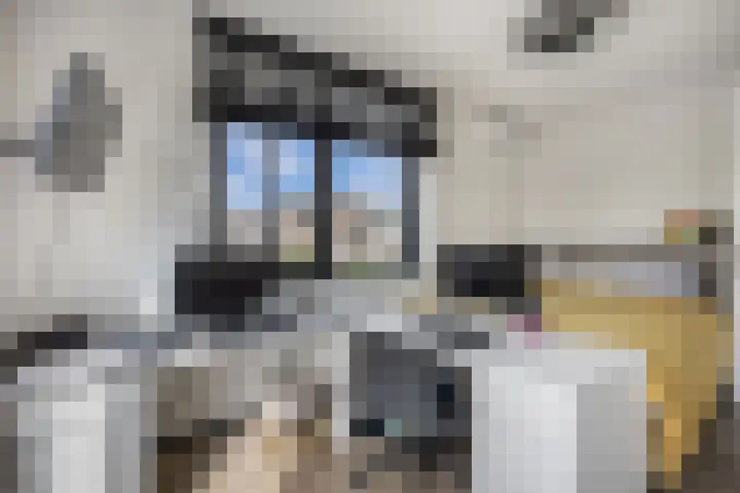 Schoener 41 24 Lelystad thumbnail 32