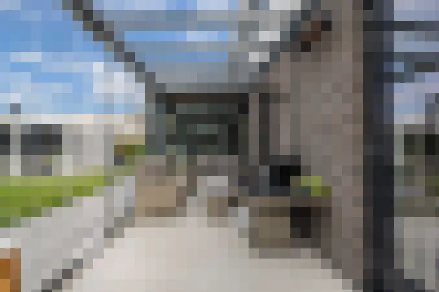 Schoener 41 24 Lelystad thumbnail 35