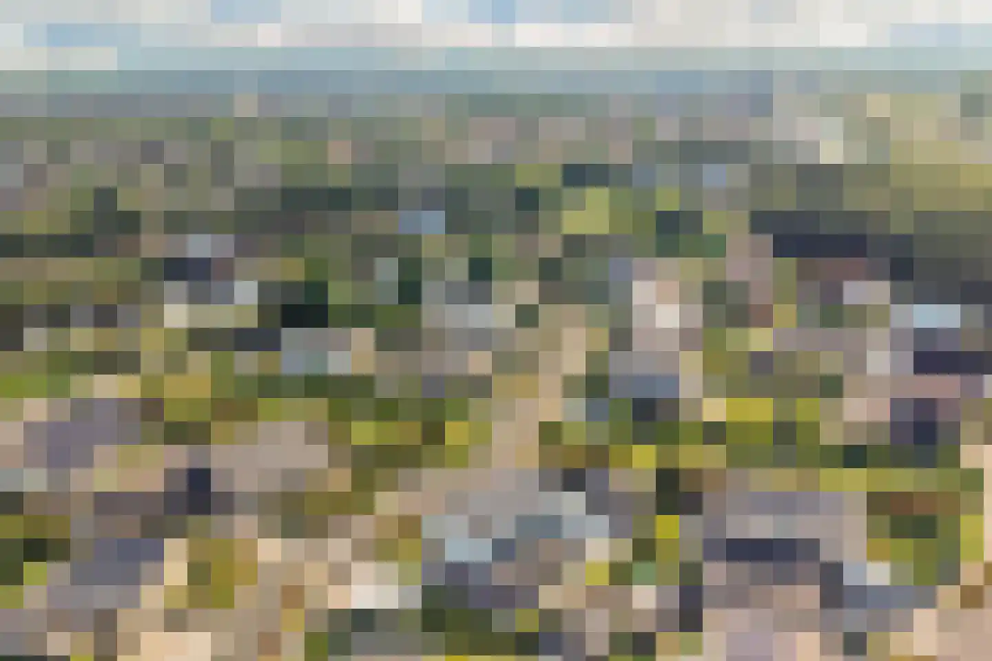 Schoener 41 24 Lelystad thumbnail 65