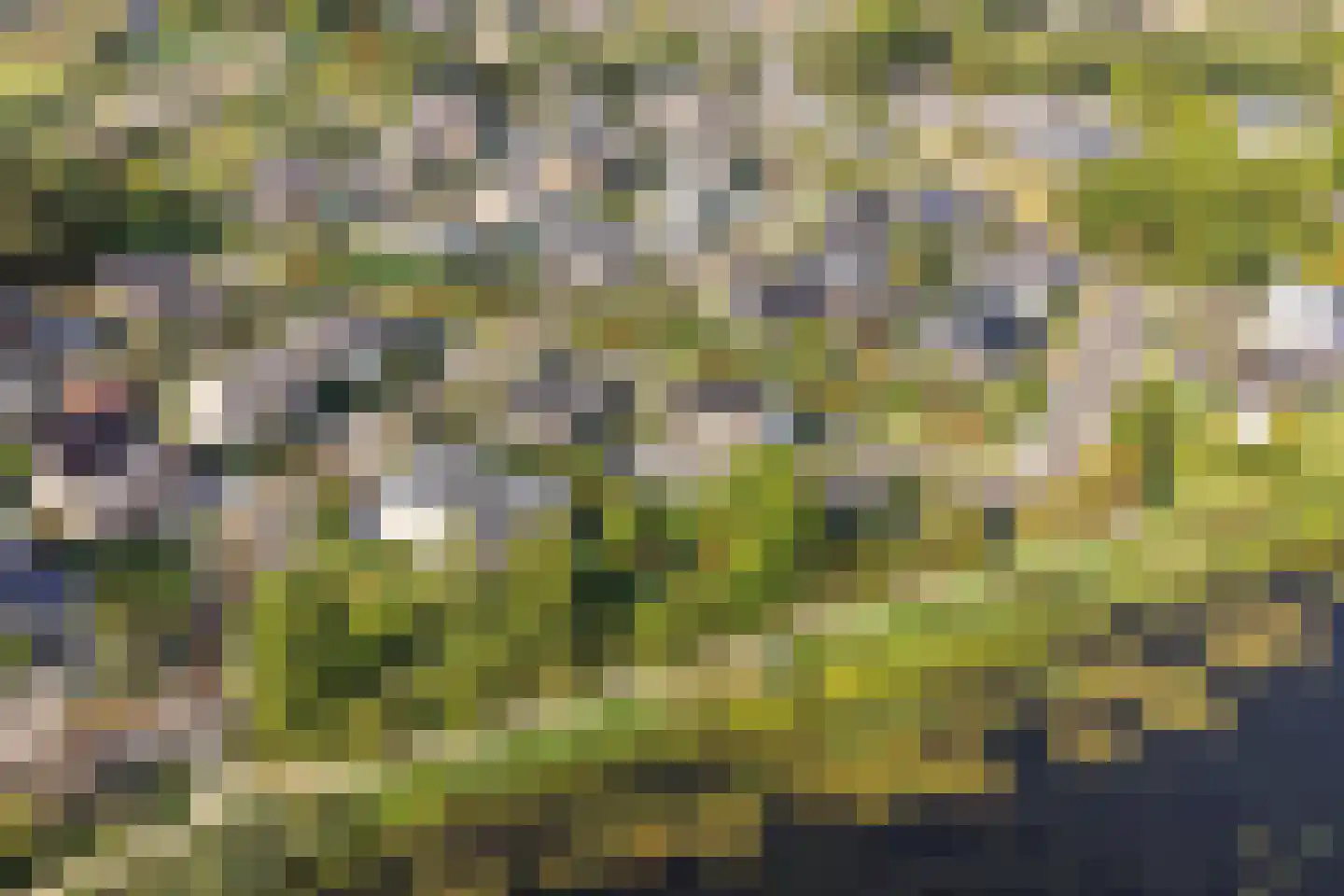 Schoener 41 24 Lelystad thumbnail 67
