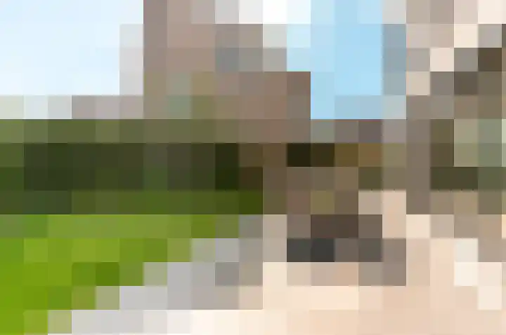 Schoener 41 50 Lelystad thumbnail 32