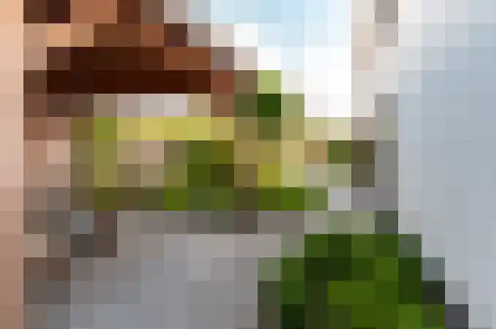 Schoener 41 50 Lelystad thumbnail 37