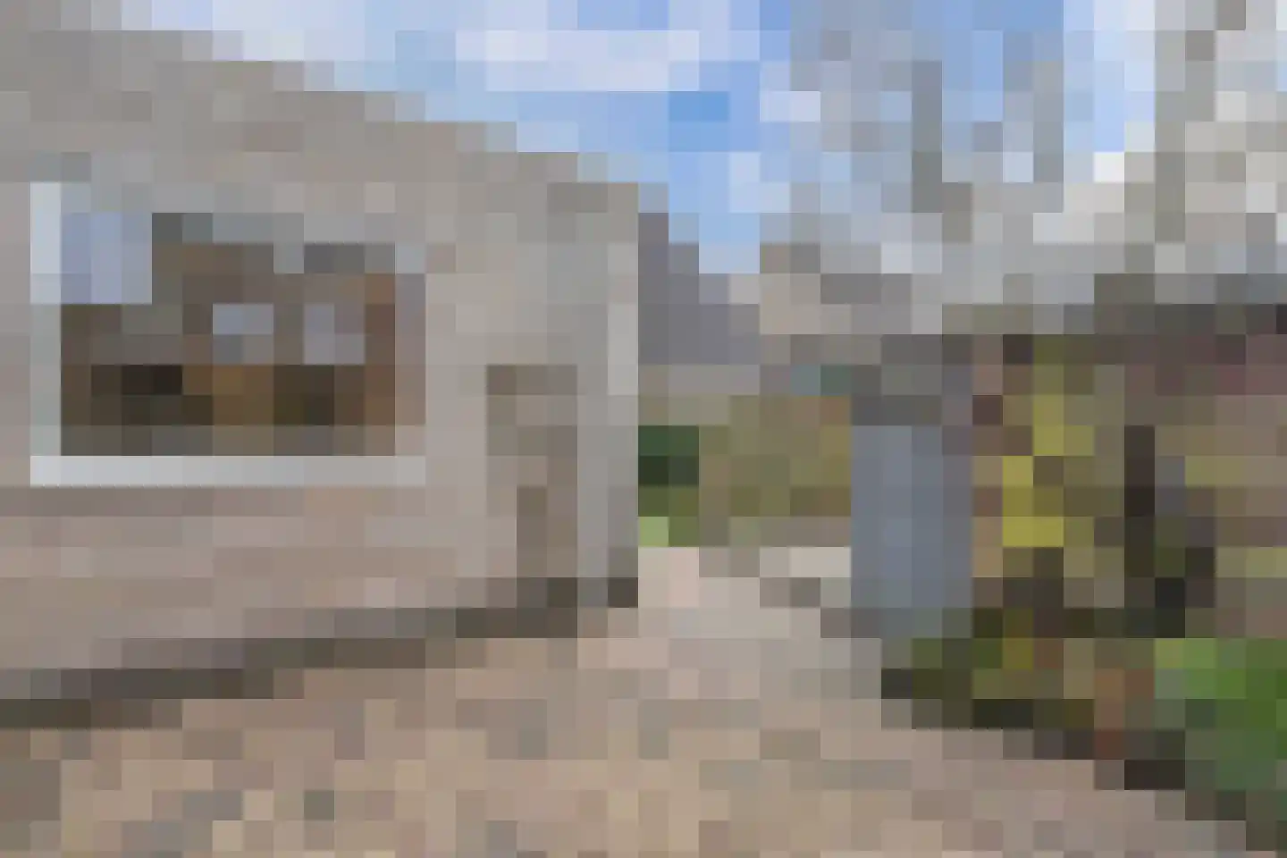 Schoener 42 19 Lelystad thumbnail 29