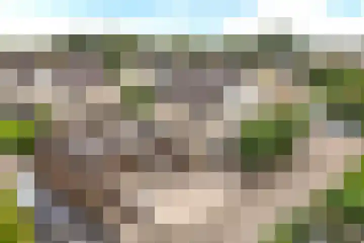 Schoener 42 42 30 Lelystad thumbnail 46