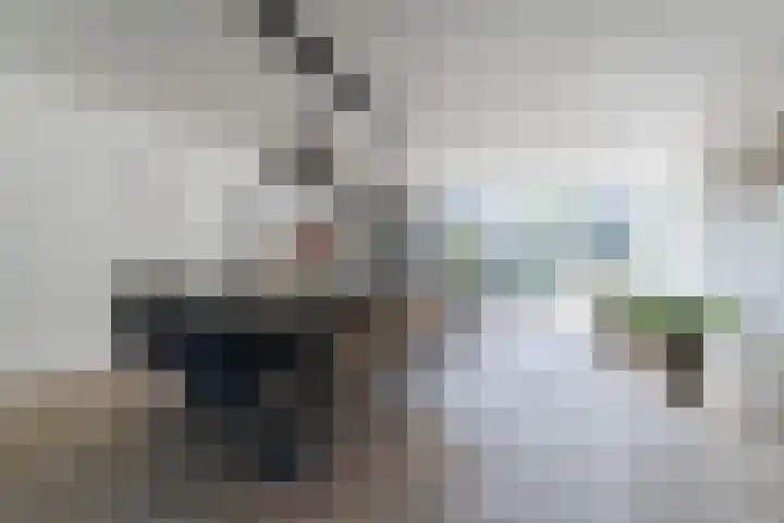 Schoener 42 Broek op Langedijk thumbnail 10