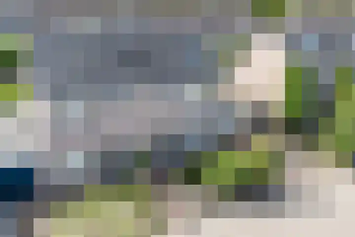 Schoener 42 Broek op Langedijk thumbnail 4