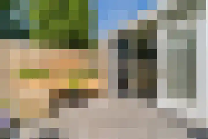 Schoener 42 Broek op Langedijk thumbnail 44