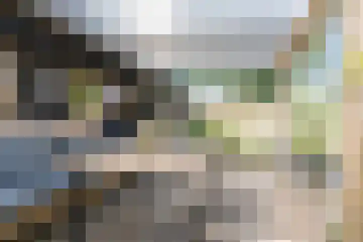 Schoener 42 Broek op Langedijk thumbnail 49