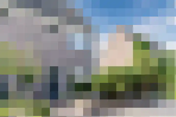 Schoener 42 Broek op Langedijk thumbnail 5