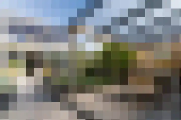 Schoener 42 Broek op Langedijk thumbnail 52