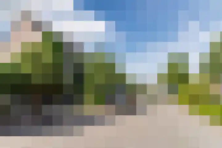 Schoener 42 Broek op Langedijk thumbnail 58