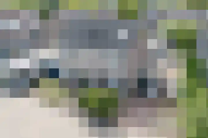 Schoener 42 Broek op Langedijk thumbnail 68
