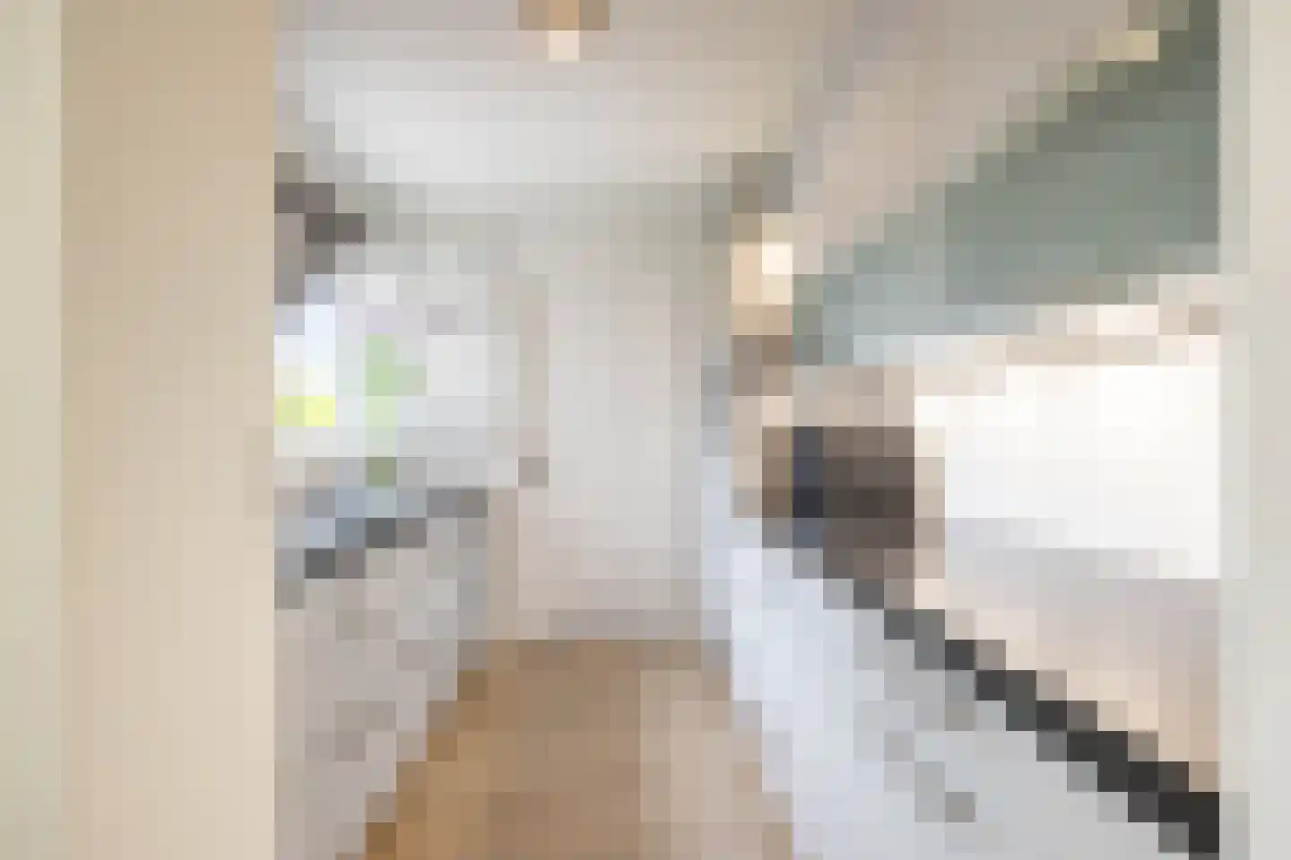 Schoener 42 Kropswolde thumbnail 18