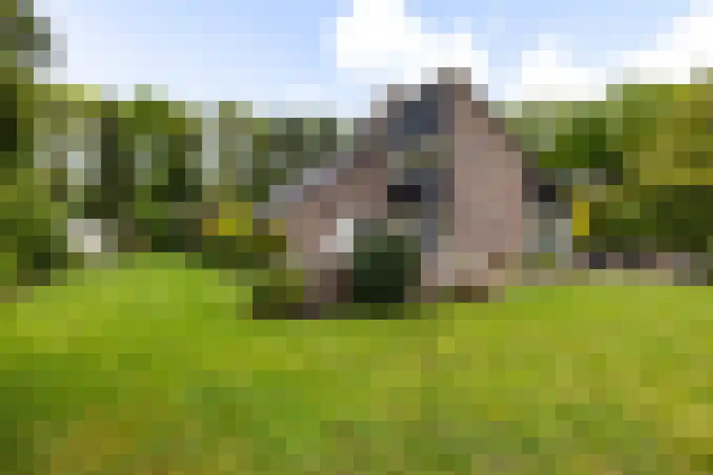 Schoener 42 Kropswolde thumbnail 49