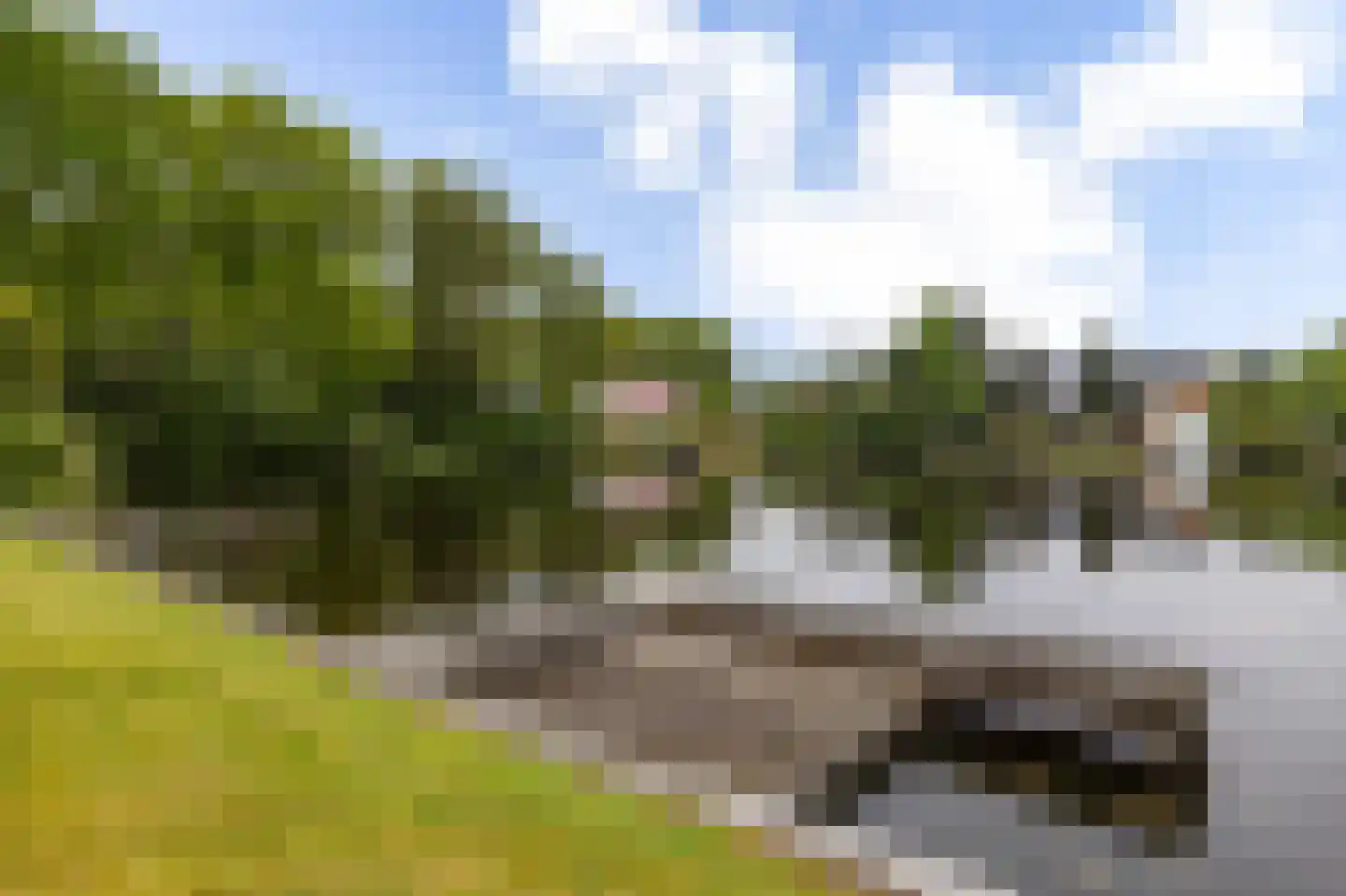 Schoener 42 Kropswolde thumbnail 55