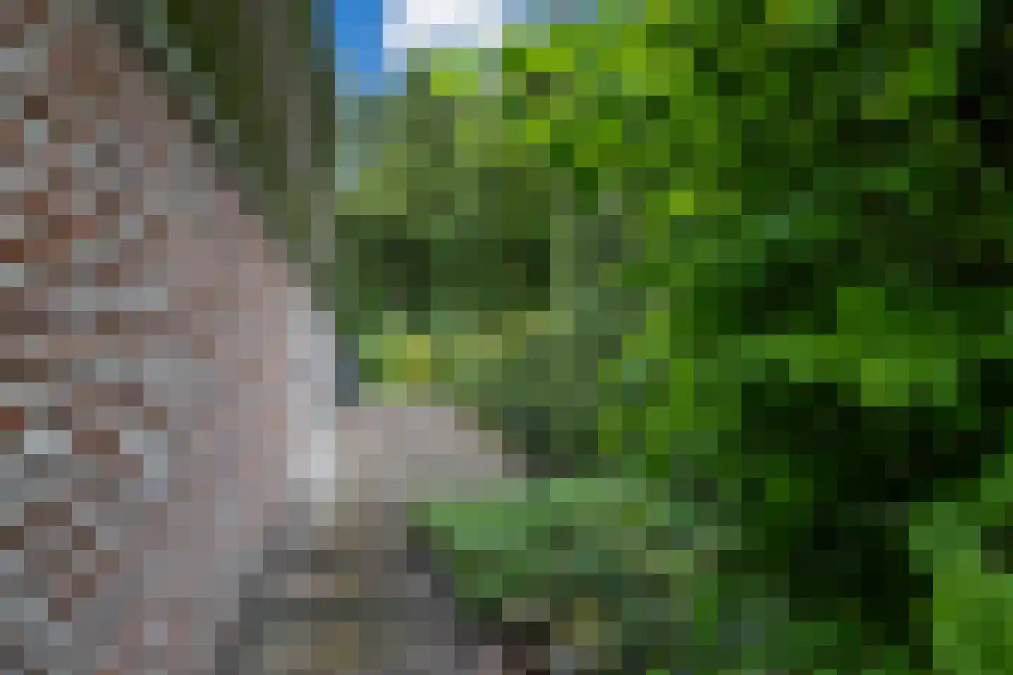 Schoener 42 Kropswolde thumbnail 59