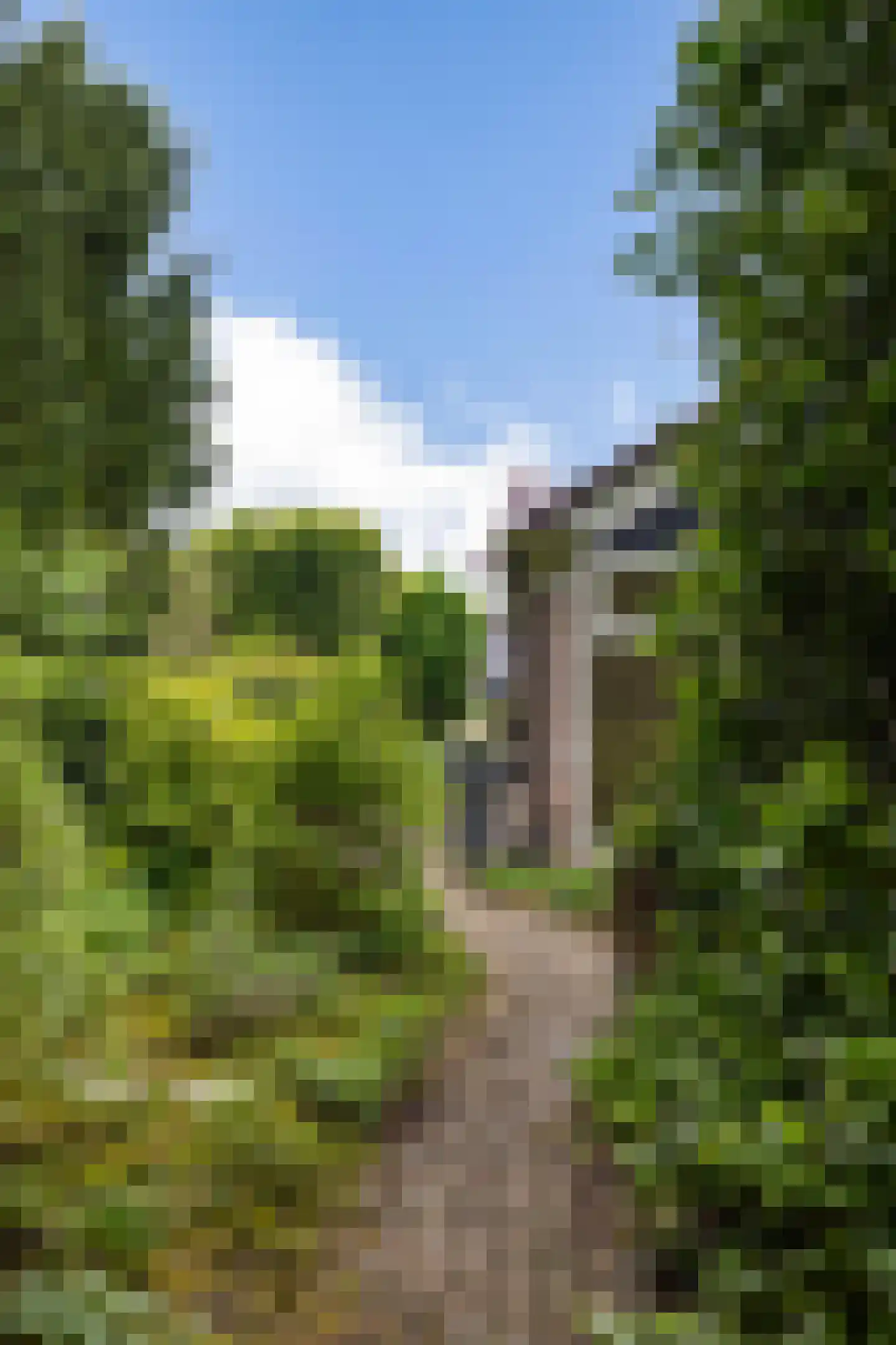 Schoener 42 Kropswolde thumbnail 63