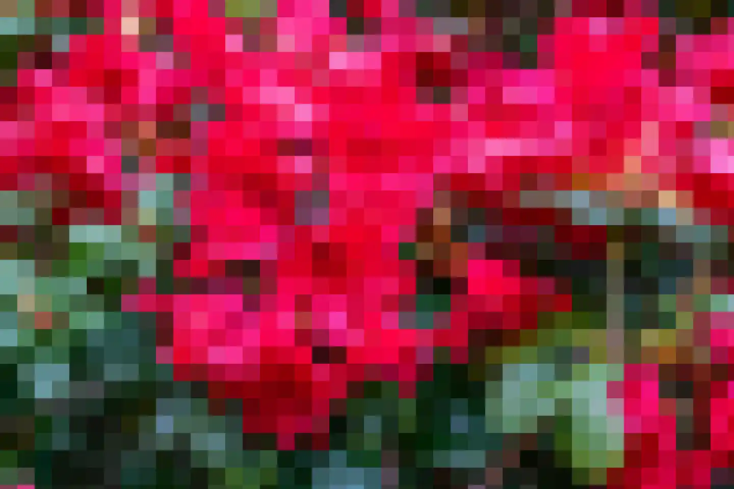 Schoener 42 Kropswolde thumbnail 65