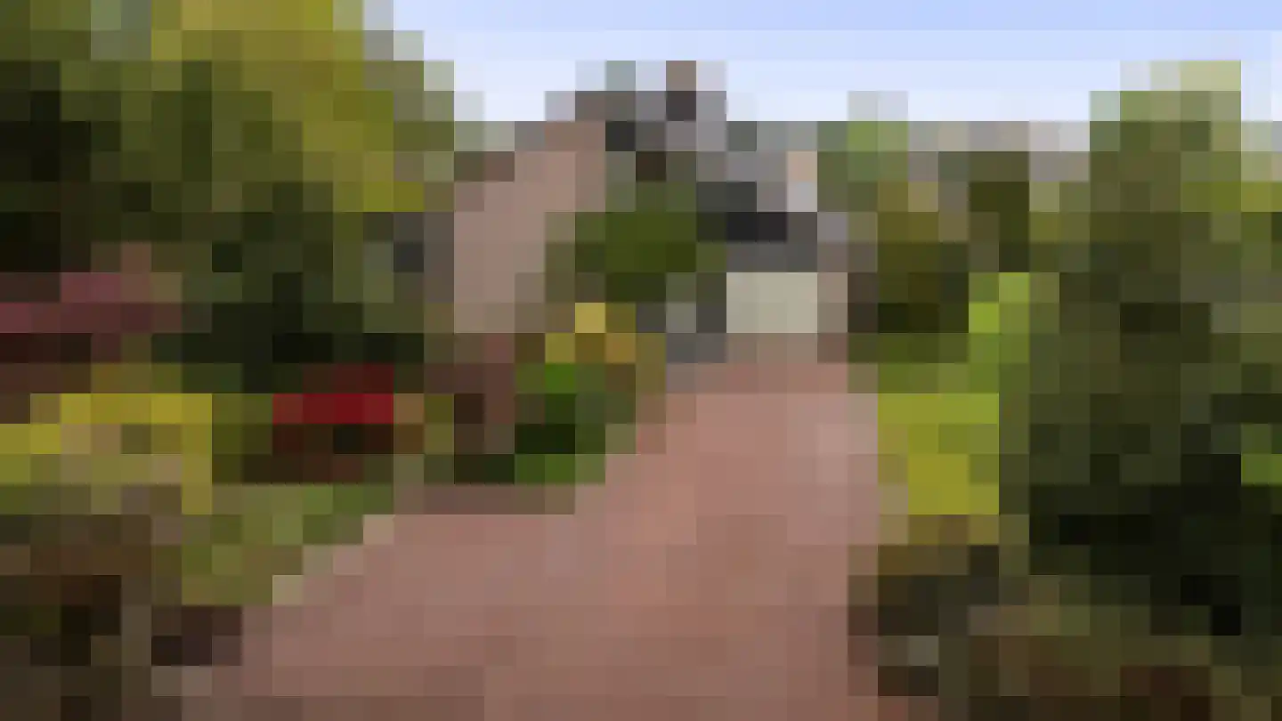 Schoener 42 Kropswolde thumbnail 67