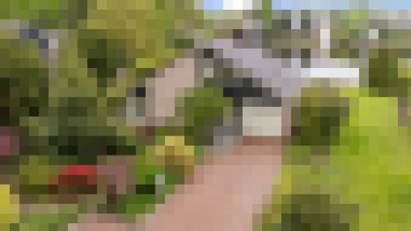 Schoener 42 Kropswolde thumbnail 68