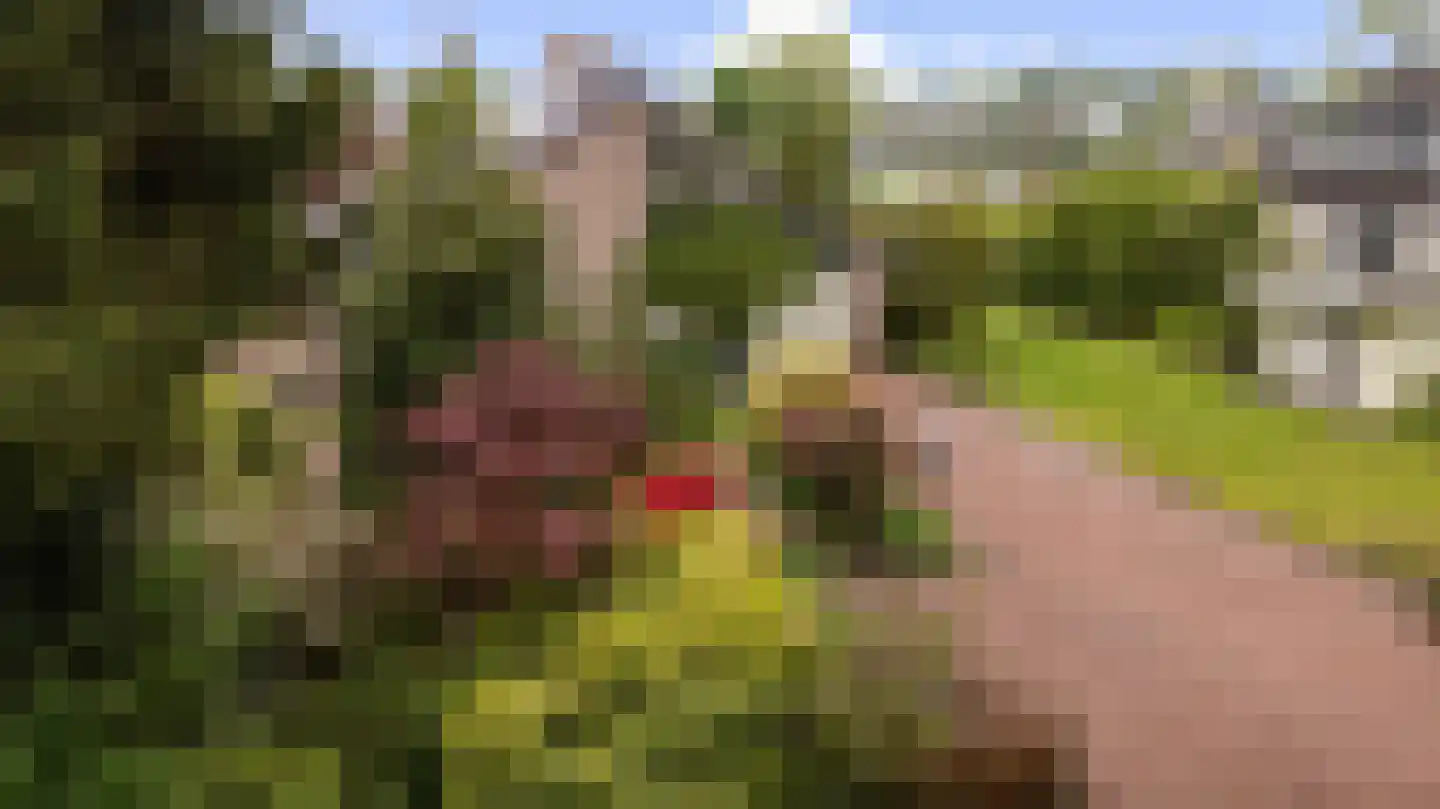Schoener 42 Kropswolde thumbnail 69