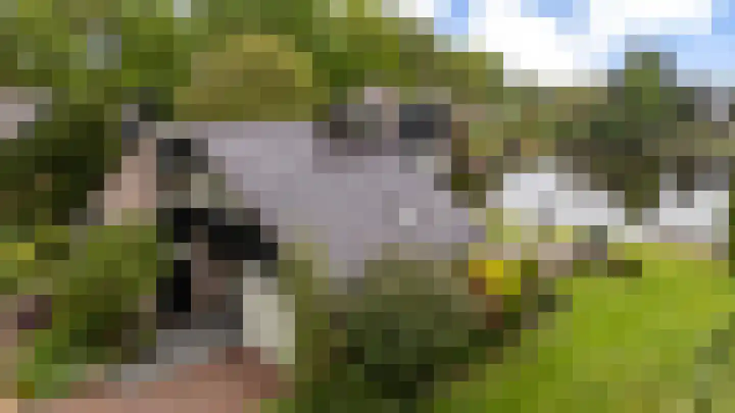 Schoener 42 Kropswolde thumbnail 70