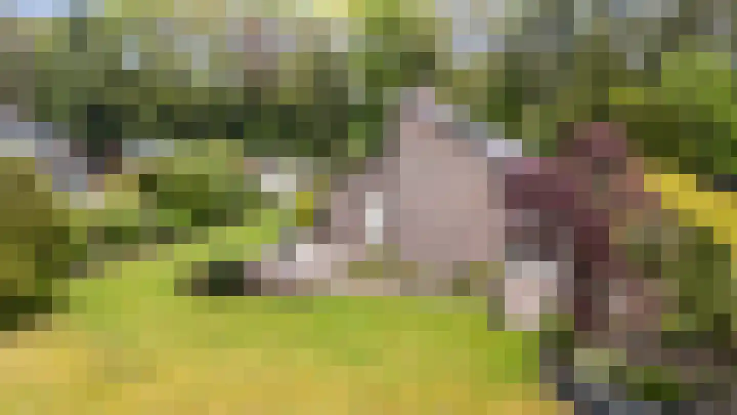 Schoener 42 Kropswolde thumbnail 73
