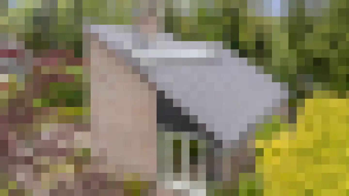 Schoener 42 Kropswolde thumbnail 74