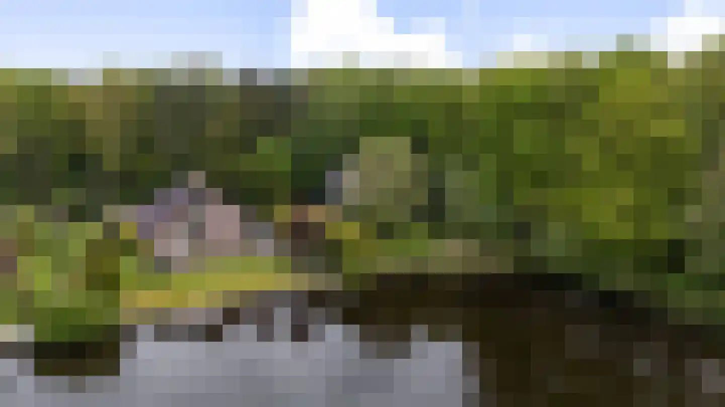 Schoener 42 Kropswolde thumbnail 76